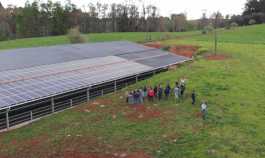 Enerpa y Cooprinsem inauguran innovadora planta fotovoltaica en predio de Osorno