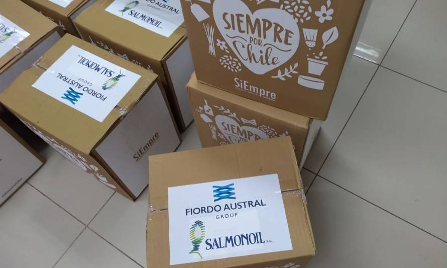 Casi 10 mil familias recibirán cajas solidarias entre las regiones de Los Lagos y de Aysén