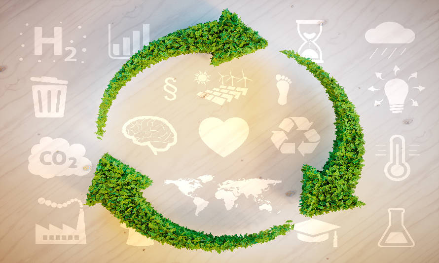 Transitando hacia la economía circular: el desafío de las empresas de envases y embalajes