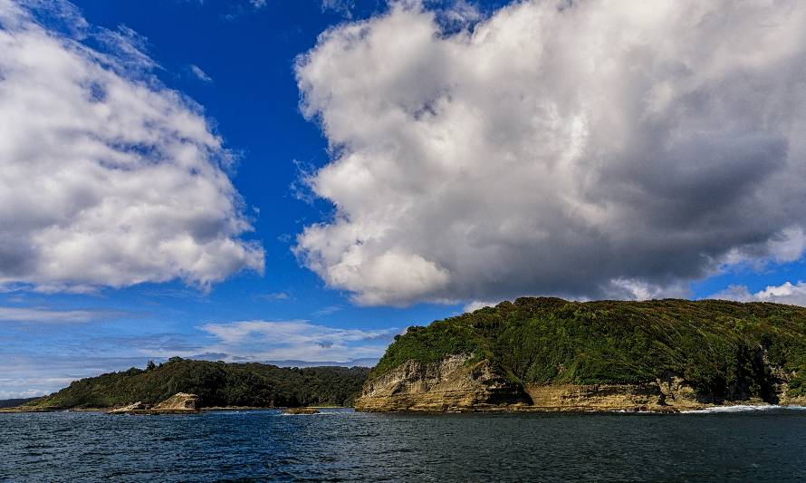 Diputados solicitan agilizar trámite ECMPO para proteger isla Guafo