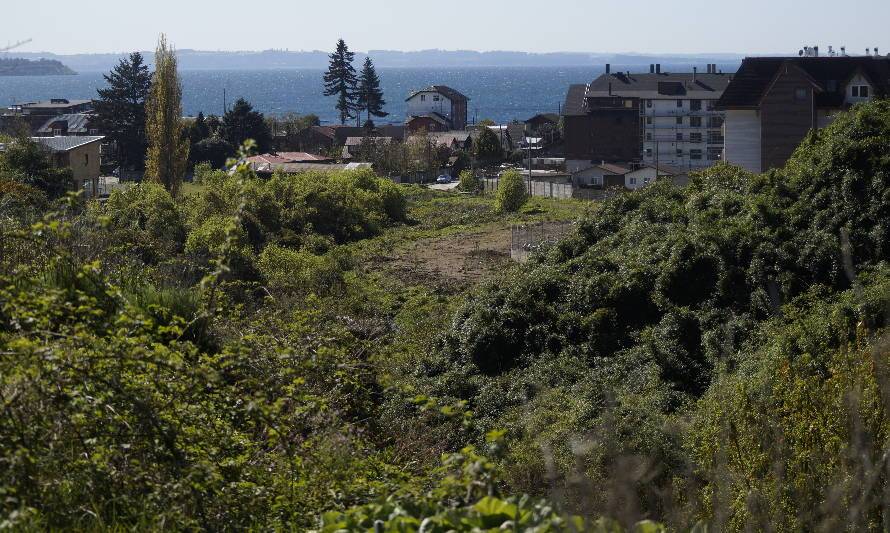 Renuevan concesión a Patagua para concretar parque urbano en Puerto Varas