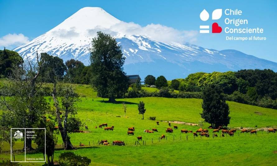 Programa Chile Origen Consciente se lanzará en el marco de la nueva edición de Expo Chile Agrícola