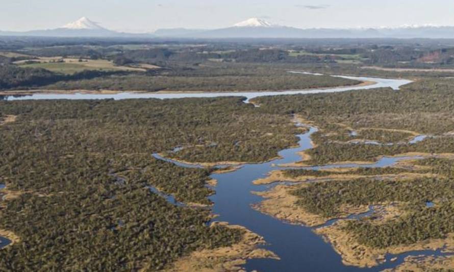 Mesa de humedales de Llanquihue hace urgente llamado a protegerlos y conservarlos