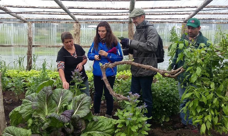 Analizan las ventajas de la agricultura orgánica en la Región de Los Lagos