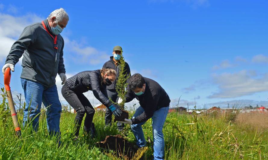 Concluye exitosa primera etapa de restauración de humedales de Llanquihue a cargo de la Fundación Legado Chile