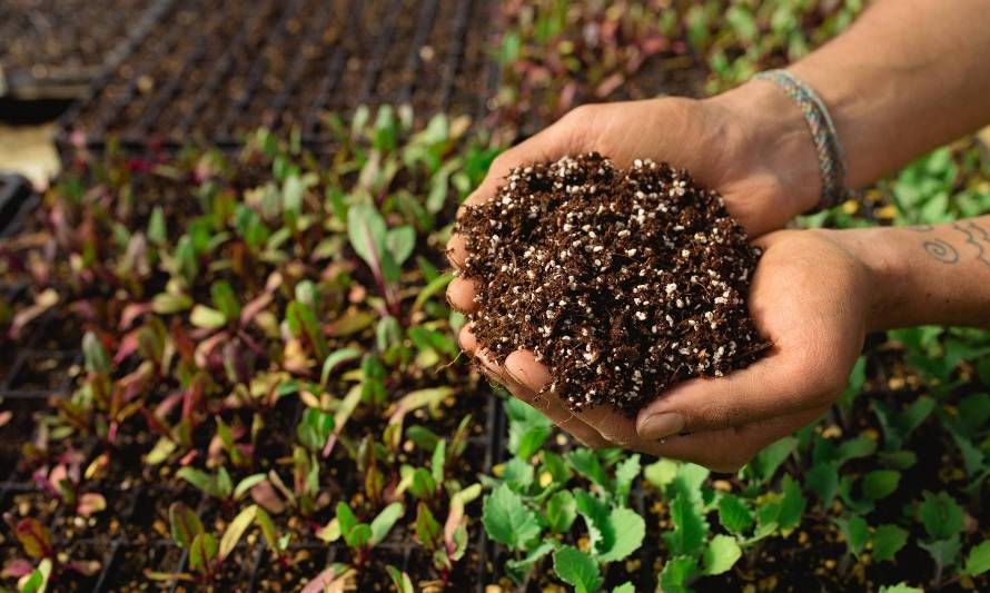 Liquen Austral, bioinsumos regenerativos para una agricultura ecológica