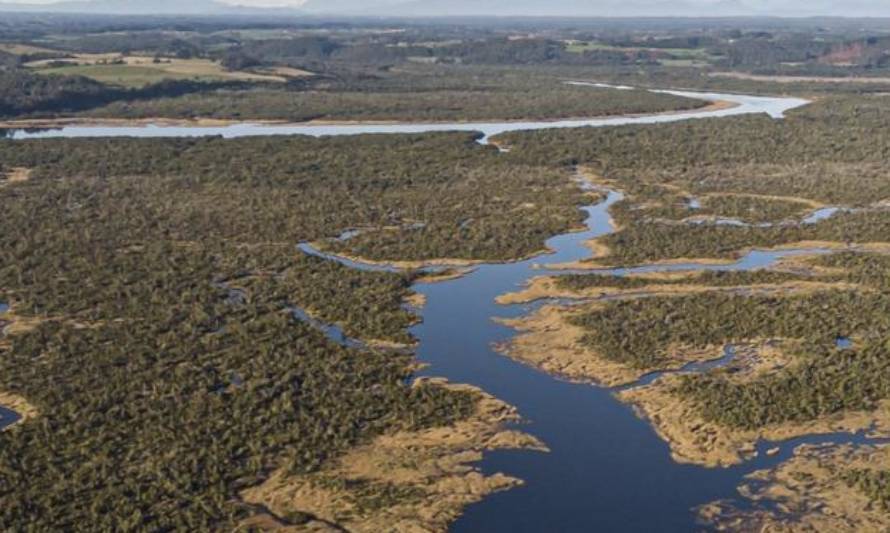 Celebran avances hacia la creación de Santuarios de la Naturaleza en humedales costeros de Chiloé