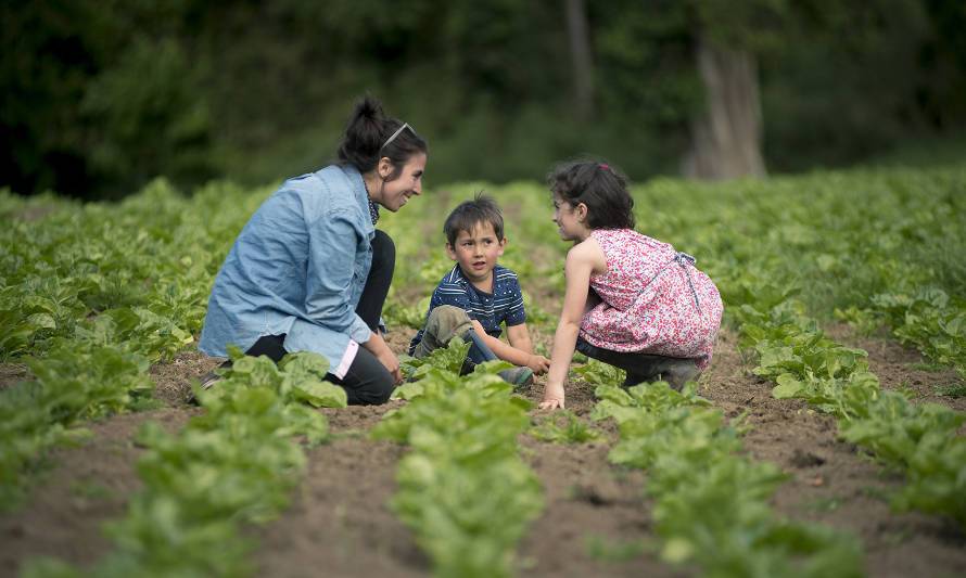 Parque Puerto Fonck, un proyecto que busca potenciar la recuperación de los ecosistemas