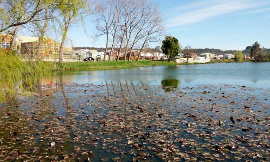 Celebran publicación de Reglamento de Ley de Humedales Urbanos en Diario Oficial