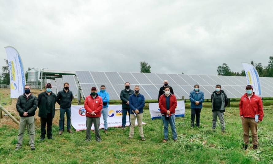 Inauguraron planta solar fotovoltaica más grande de la región de Los Lagos