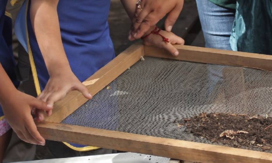 Destacan compromiso de la comunidad por avances en Educación Ambiental en contexto de pandemia