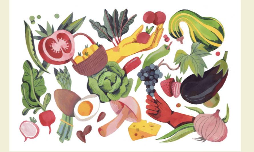 En tiempos de pandemia lanzan primera guía para alimentarse 
de manera sustentable y saludable en Chile