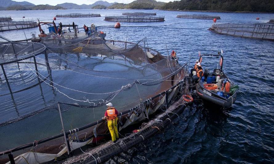 Nueva ofensiva de Patagonia con su documental “Estado Salmonero”