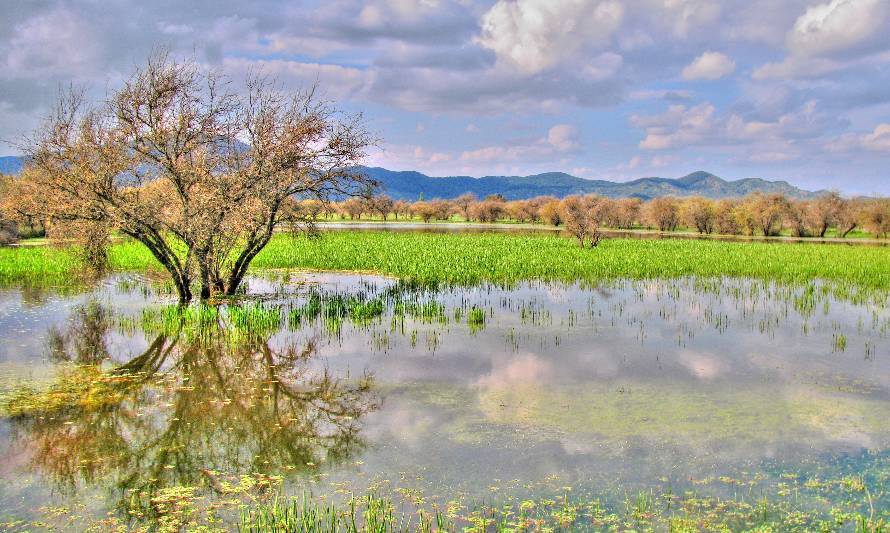 Llaman a participar en concurso nacional de fotografía sobre conservación de humedales