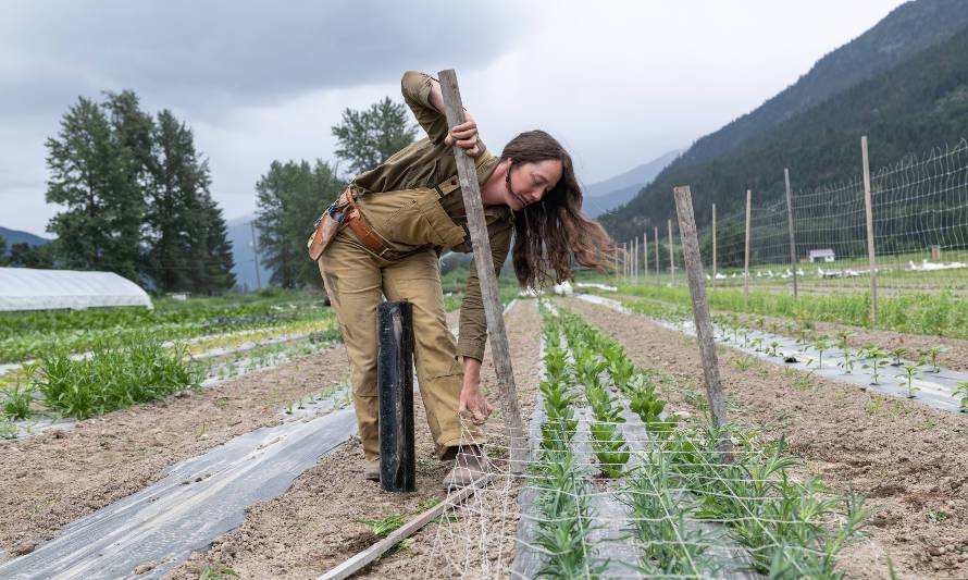 Cáñamo industrial y ropa de trabajo: la propuesta de resistencia de Patagonia