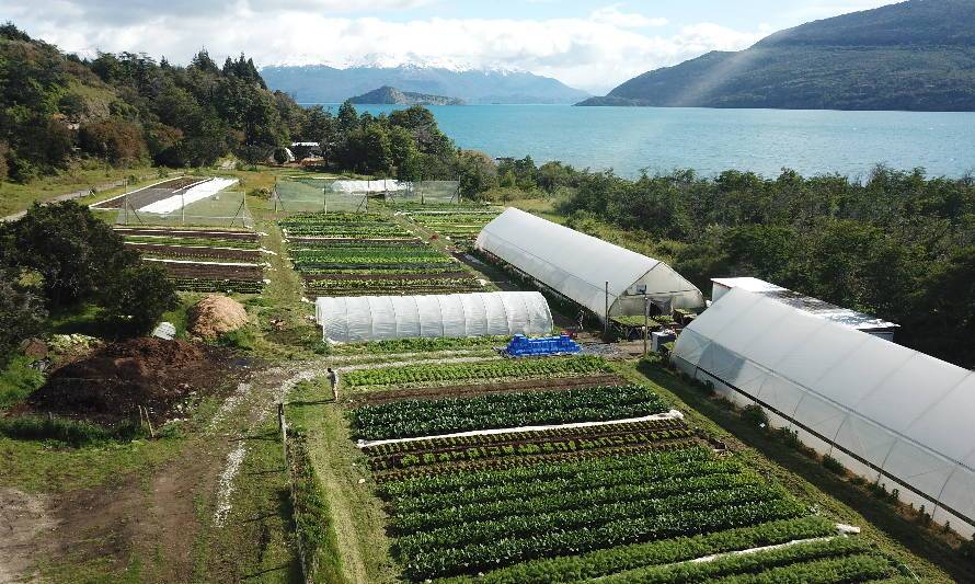 Patagonia aterriza en Coyhaique con feria libre sin químicos y regenerativa