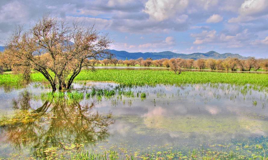 Medio ambiente y agua entre los cinco temas más importantes a considerar en la nueva Constitución