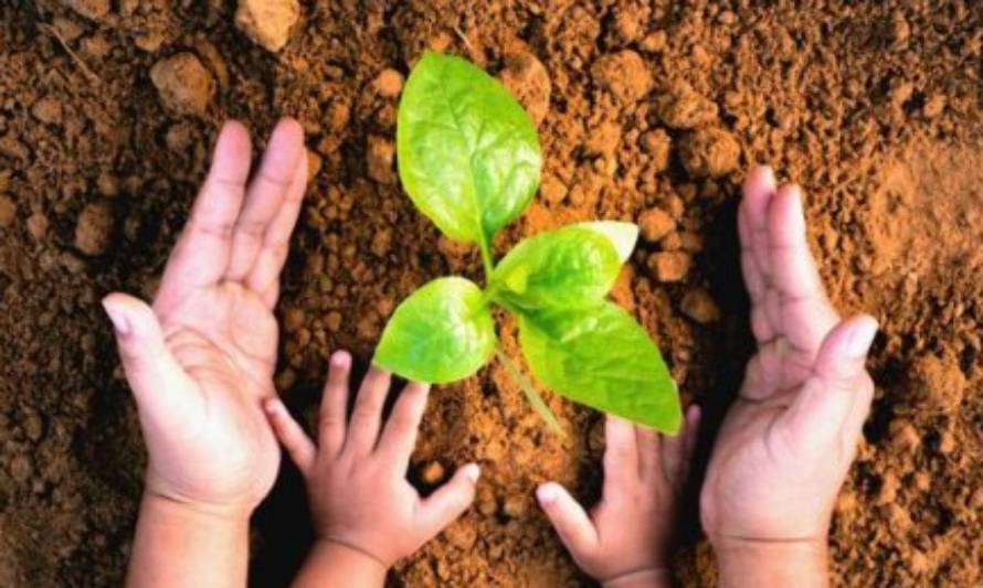 Seremi del Medio Ambiente invita a establecimientos educacionales a postular a Proceso de Certificación Ambiental 2021