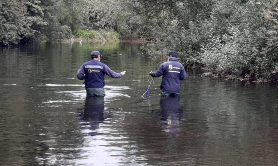 Seremi del Medio Ambiente impulsa fiscalización intersectorial en 12 puntos del Río Damas de Osorno