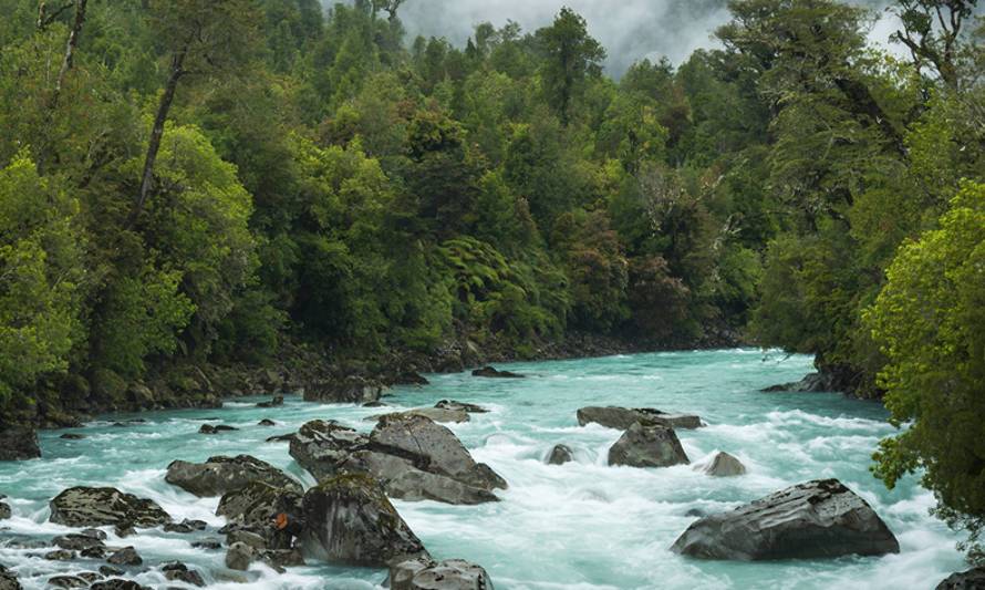 Primer Café Científico del 2021 abordará la importancia de valorizar y proteger el agua