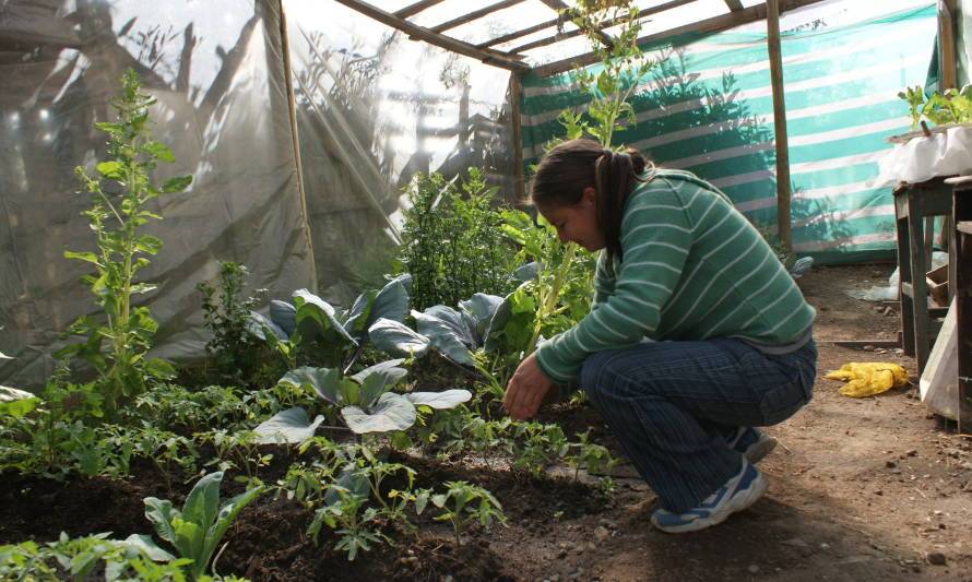 Fondo de Protección Ambiental adjudicó 138 iniciativas ciudadanas para 2021