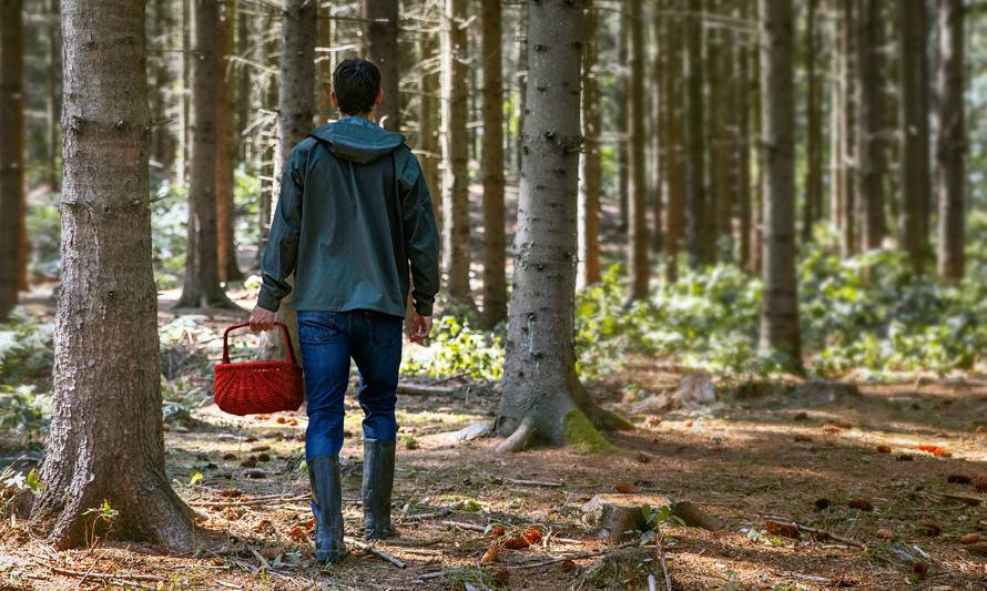 “Es crucial alimentar al mundo en equilibrio con el medio ambiente”