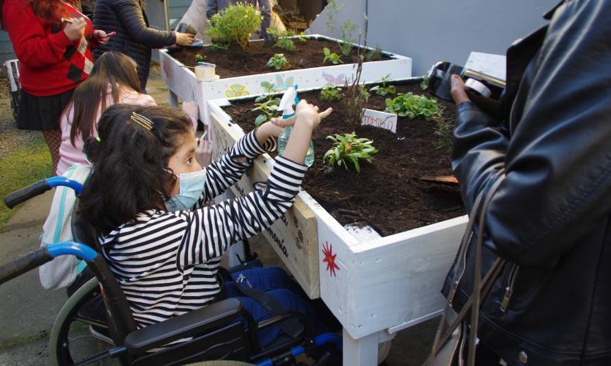 Liceo Manuel Baquedano de Osorno crea huerto terapéutico de plantas medicinales