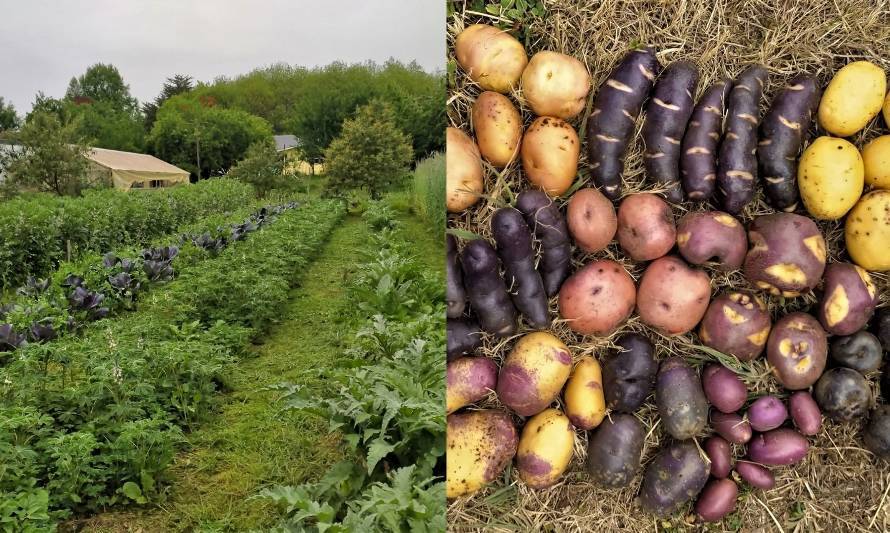 Escuela Agroecológica de Lumaco y el desafío de tener un sistema alimentario más justo