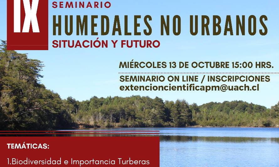 Invitan a nuevo seminario virtual sobre humedales en Chiloé