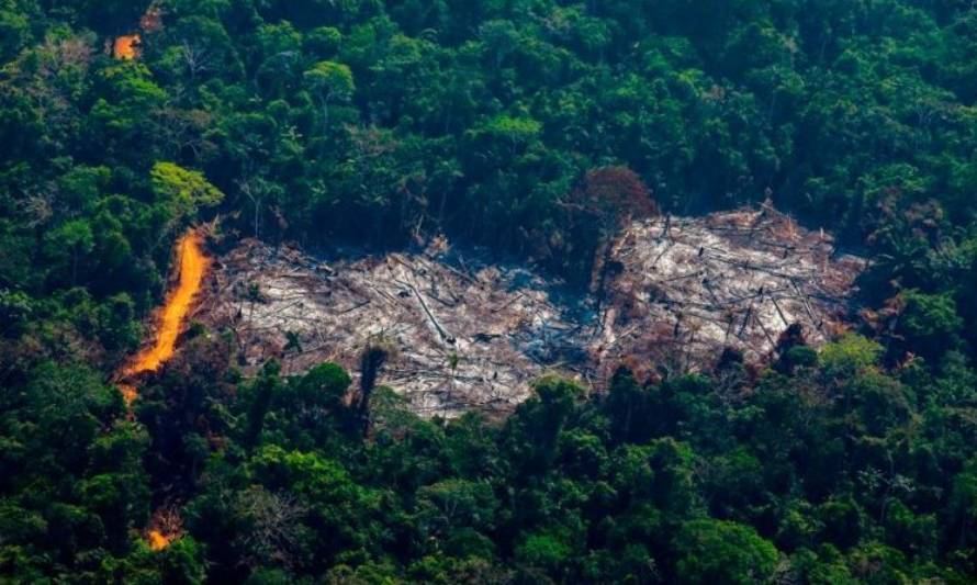 COP26: líderes mundiales se comprometen a acabar con la deforestación y reducir en 30% las emisiones de metano para 2030