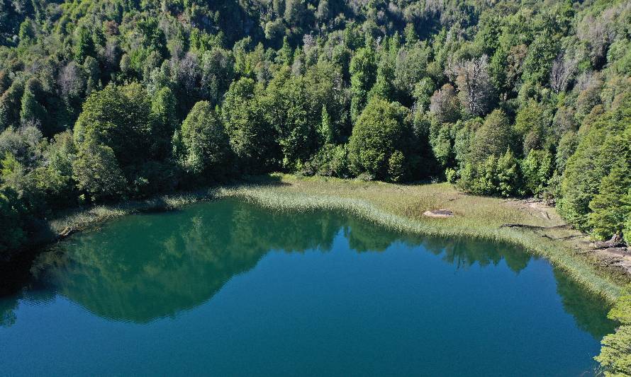 Proyecto de conservación habitable destina más de mil hectáreas a la preservación de la Patagonia