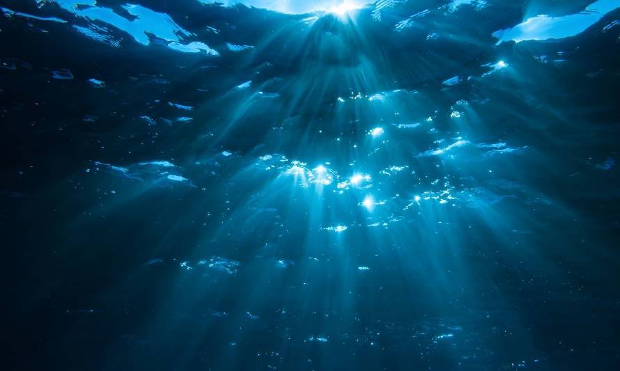 Ministerio de Medio Ambiente y WWF buscan modelos de financiamiento para proteger áreas marinas