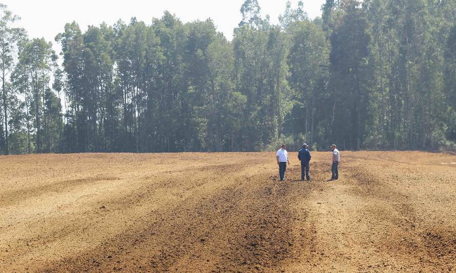 Innovación chilena permite convertir desechos en fertilizantes en menos de una hora