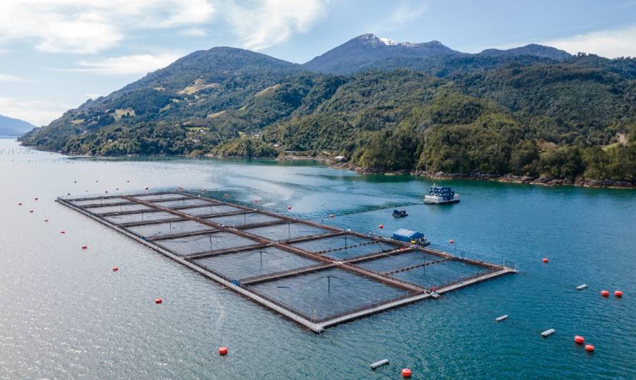 Skretting Chile y sus acciones hacia una acuicultura sostenible 