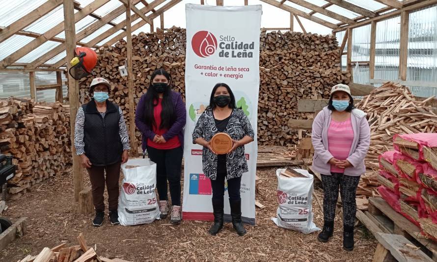 Entregan Sello de Calidad de Leña a comerciantes de Chiloé