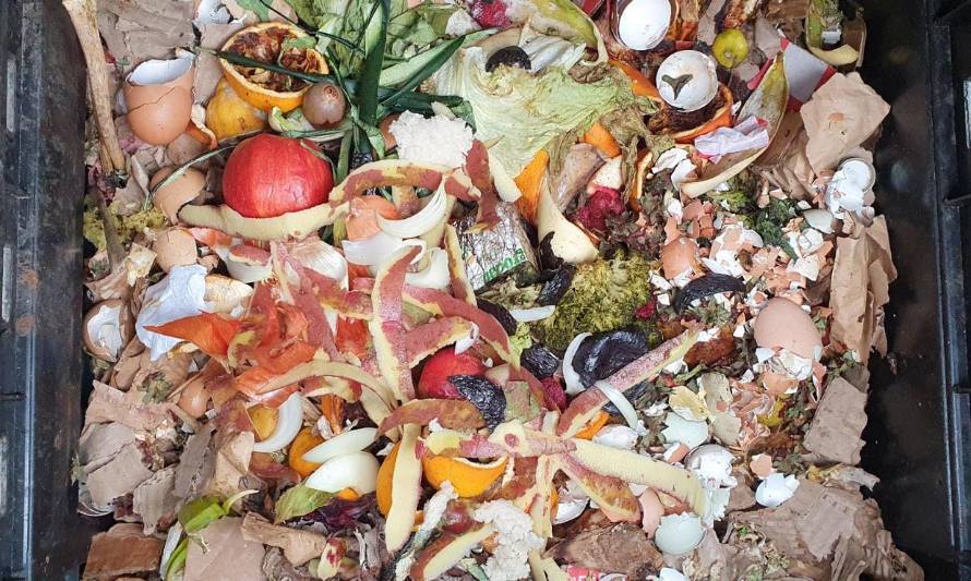 La importancia de reciclar residuos orgánicos: En Chile, menos del 1% se reutiliza