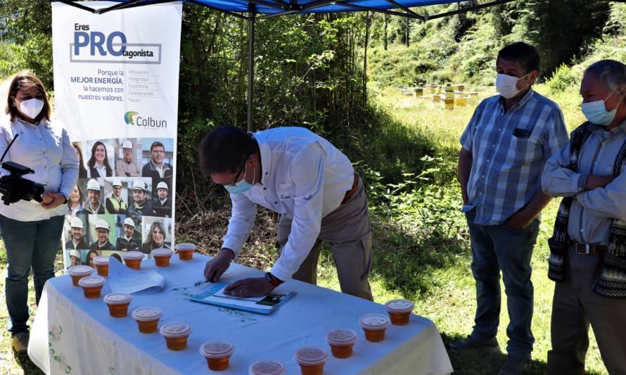 Investigarán positivo efecto de bosques nativos en la producción de miel diferenciadas