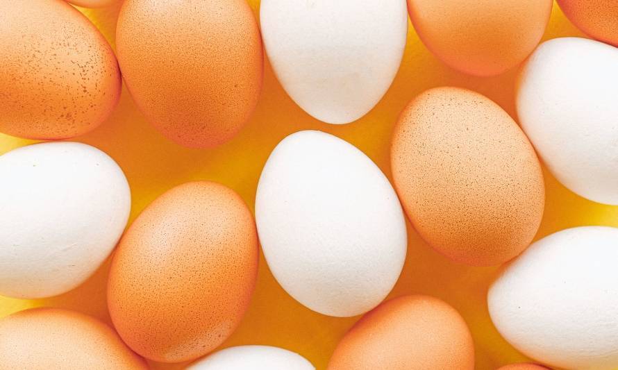 Escasez Hídrica: ¿Cómo la enfrenta la industria de la producción de huevos?