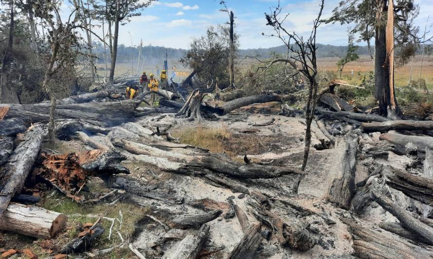 Desde Valdivia llega ayuda para controlar incendio en Tierra del Fuego