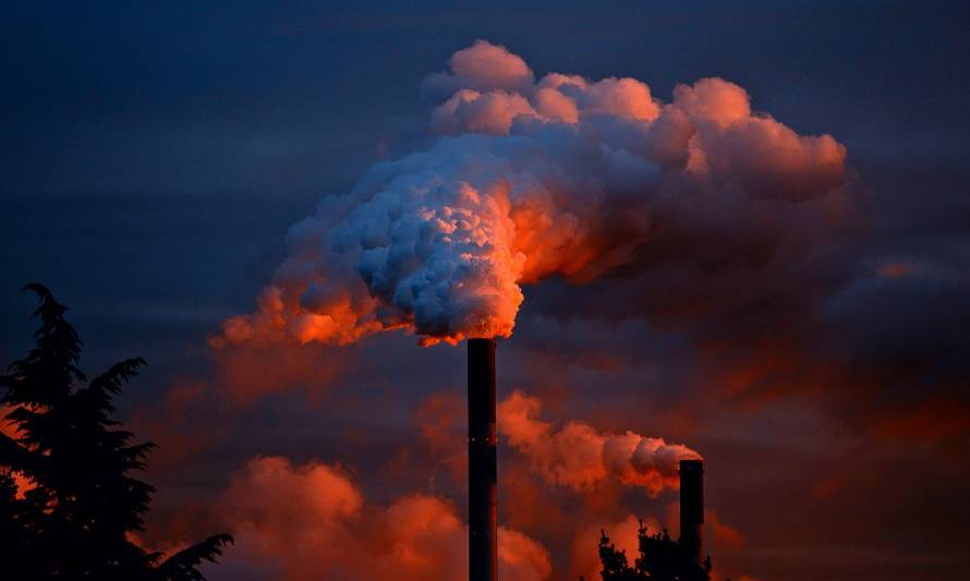 El lado oscuro de las compensaciones de carbono
