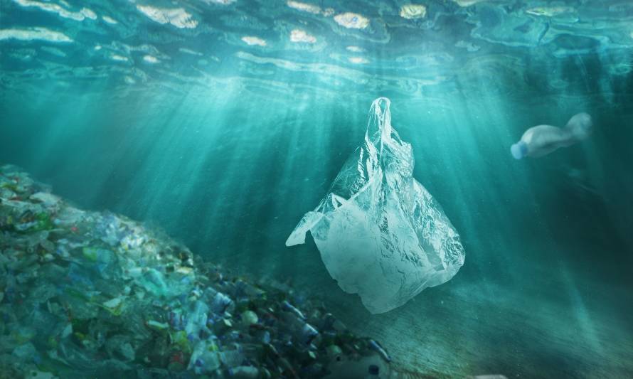 Para 2050 habrá cuatro veces más contaminación por plástico en el Océano  