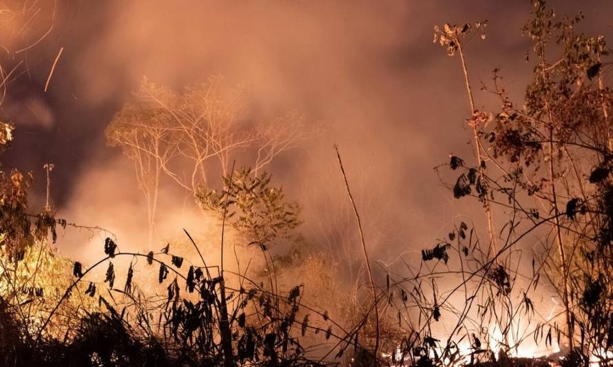 A cinco años de los grandes incendios de 2017, los impactos aún persisten