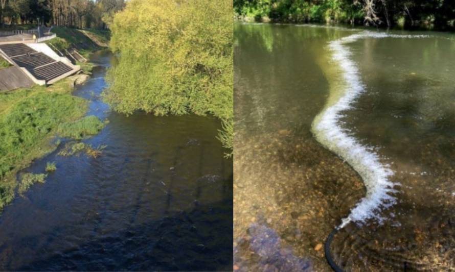 Conoce el innovador proyecto ambiental probado en el río Damas 