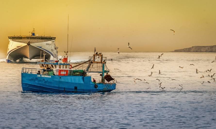 Pesca sustentable: Data Observatory creará plataforma de datos pesqueros de la zona norte del País