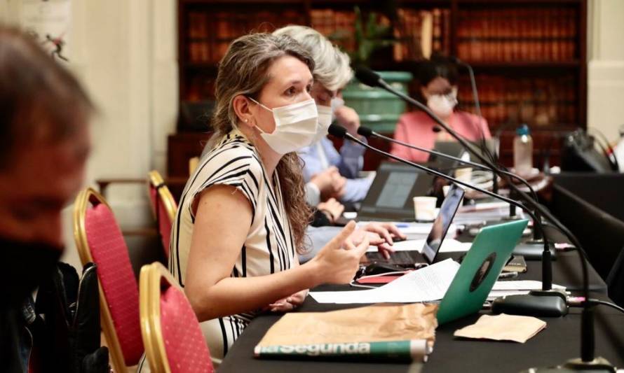 (Foto: Comisión Constitucional)