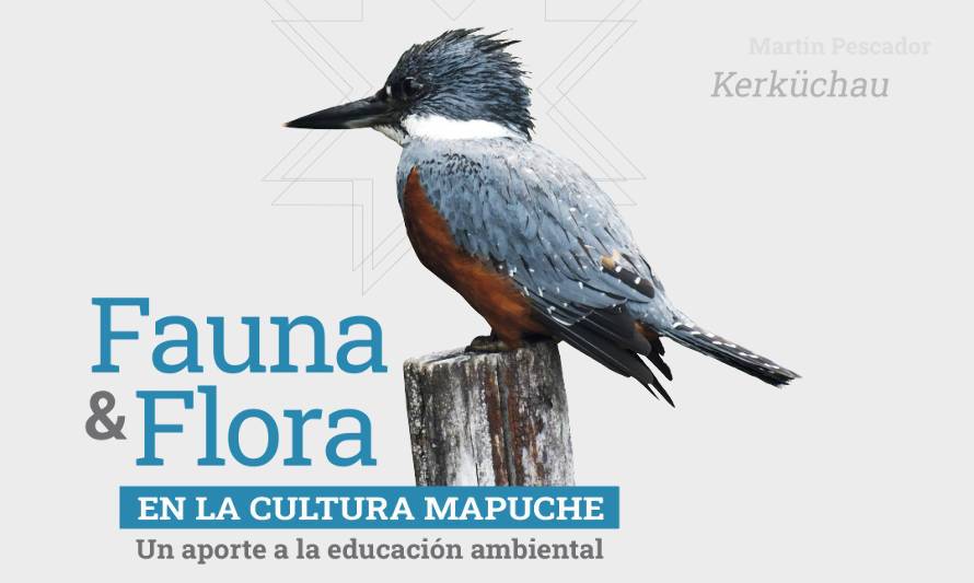 Publican libro que aborda la fauna y flora con perspectiva mapuche 