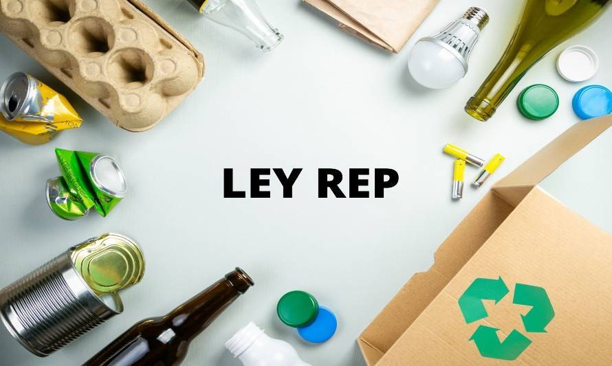 Ley REP: Nuevas exigencias medioambientales para las empresas