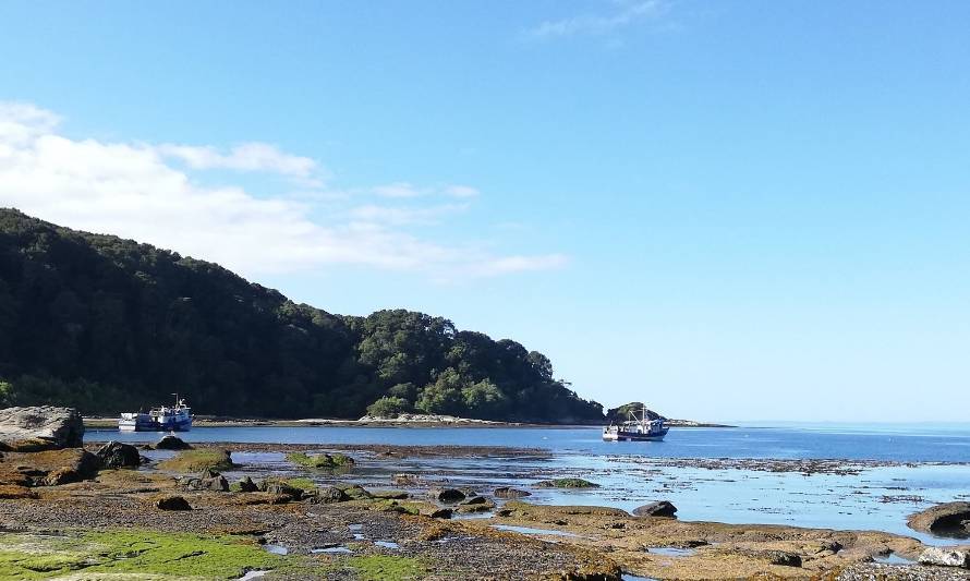 Nuevos avances son realizados en protección de la isla Guafo 