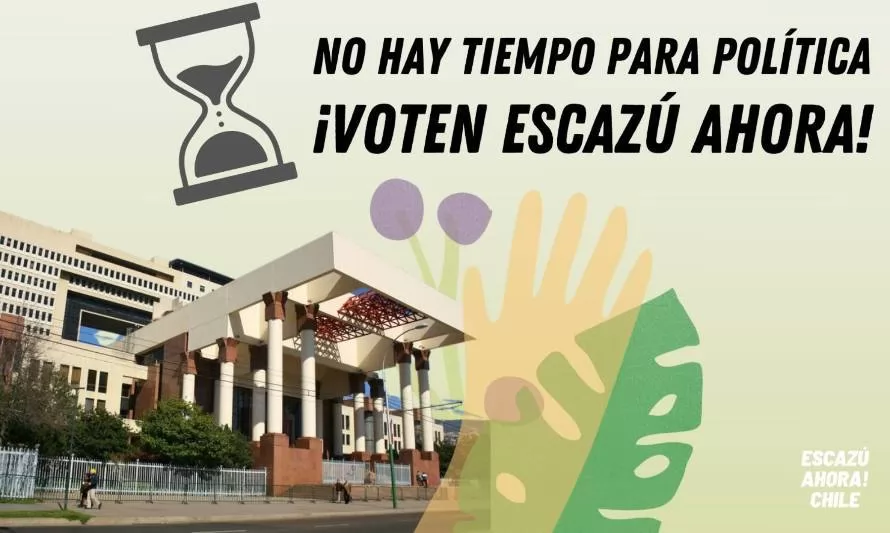 Acuerdo de Escazú: se votará el proyecto que aprueba la adhesión de Chile al tratado