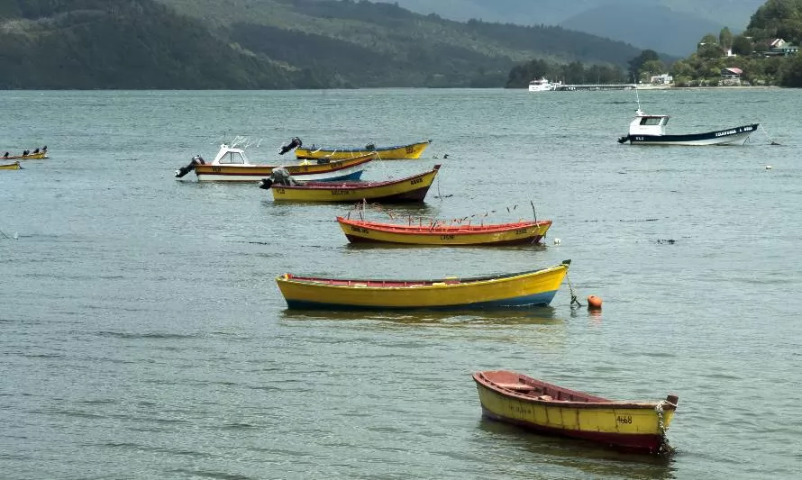 Presidente y pesca: "Chile tiene una deuda con los ciudadanos y ciudadanas del mar"